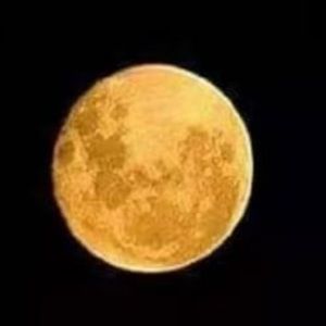 Meet your Posher, George